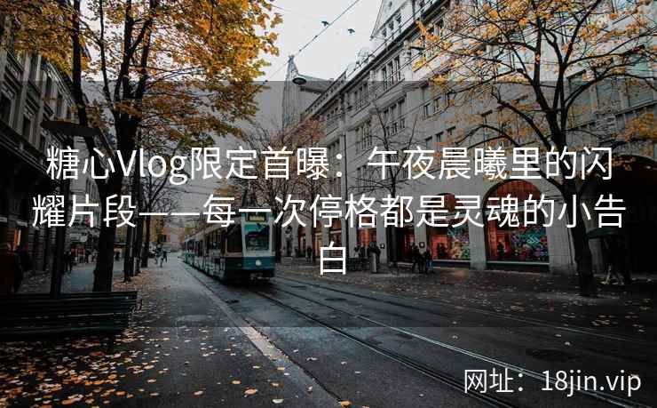 糖心Vlog限定首曝：午夜晨曦里的闪耀片段——每一次停格都是灵魂的小告白