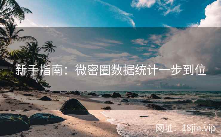 新手指南：微密圈数据统计一步到位