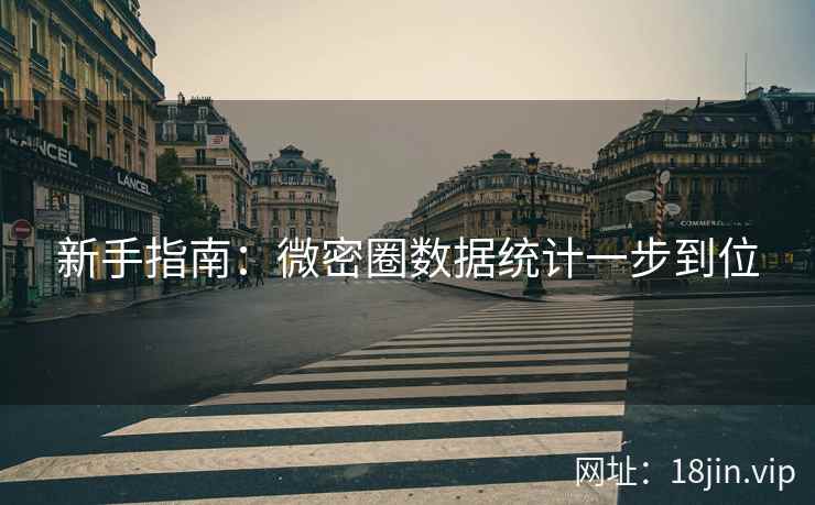 新手指南：微密圈数据统计一步到位  第2张