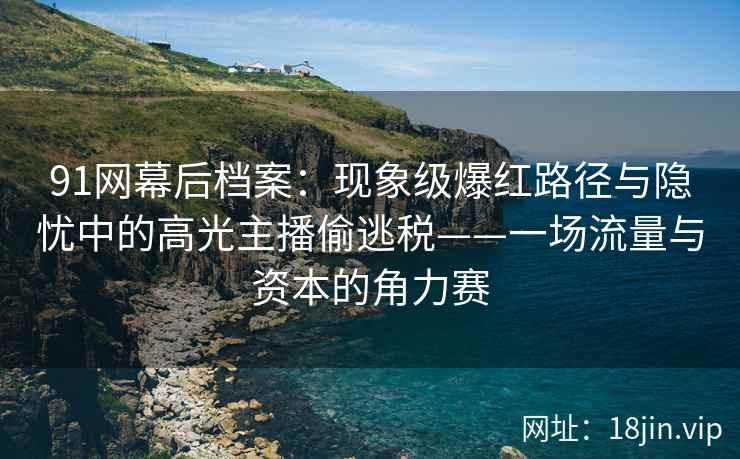91网幕后档案：现象级爆红路径与隐忧中的高光主播偷逃税——一场流量与资本的角力赛