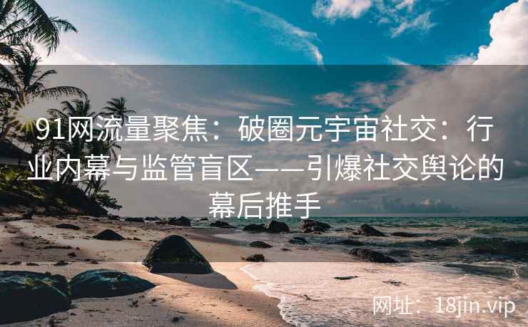 91网流量聚焦：破圈元宇宙社交：行业内幕与监管盲区——引爆社交舆论的幕后推手