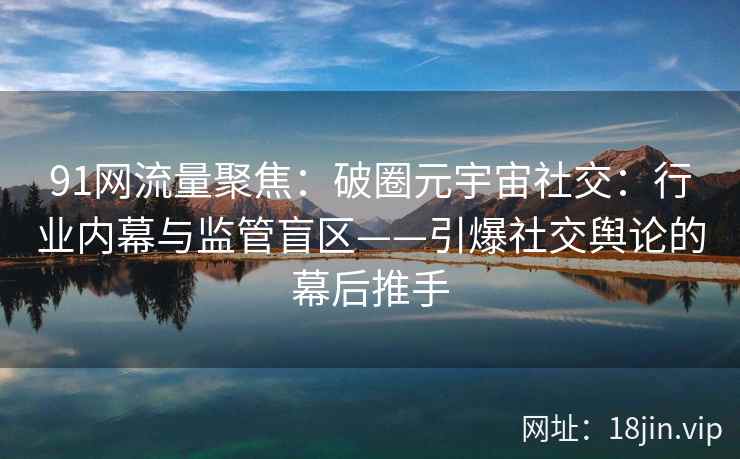 91网流量聚焦：破圈元宇宙社交：行业内幕与监管盲区——引爆社交舆论的幕后推手