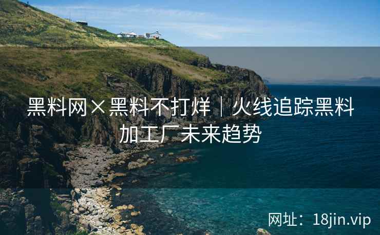 黑料网×黑料不打烊｜火线追踪黑料加工厂未来趋势