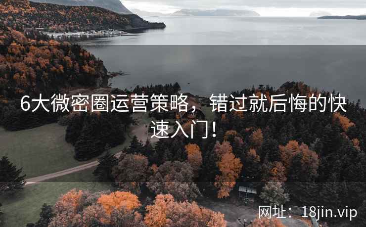 6大微密圈运营策略，错过就后悔的快速入门！  第2张