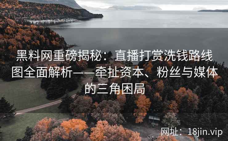 黑料网重磅揭秘：直播打赏洗钱路线图全面解析——牵扯资本、粉丝与媒体的三角困局  第2张