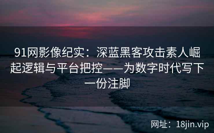91网影像纪实：深蓝黑客攻击素人崛起逻辑与平台把控——为数字时代写下一份注脚  第1张