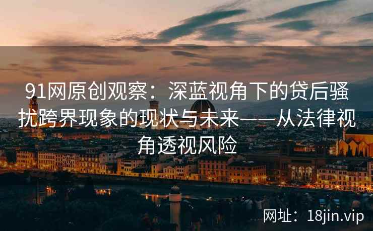91网原创观察：深蓝视角下的贷后骚扰跨界现象的现状与未来——从法律视角透视风险  第2张
