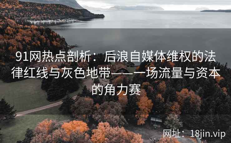 91网热点剖析：后浪自媒体维权的法律红线与灰色地带——一场流量与资本的角力赛