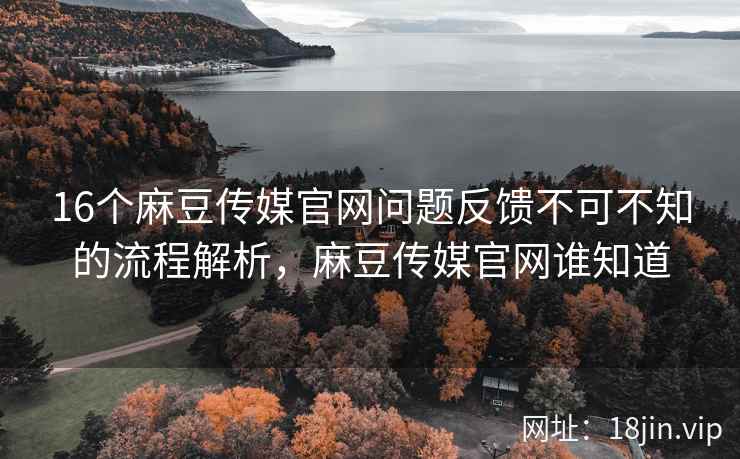 16个麻豆传媒官网问题反馈不可不知的流程解析，麻豆传媒官网谁知道