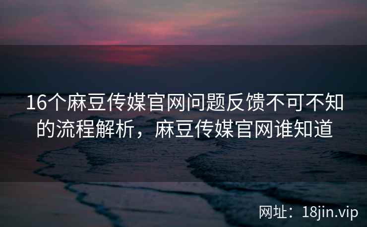16个麻豆传媒官网问题反馈不可不知的流程解析，麻豆传媒官网谁知道