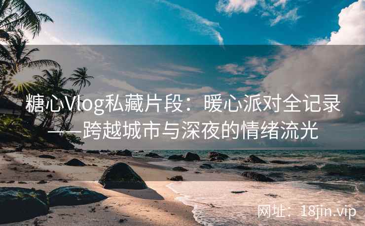 糖心Vlog私藏片段：暖心派对全记录——跨越城市与深夜的情绪流光  第2张