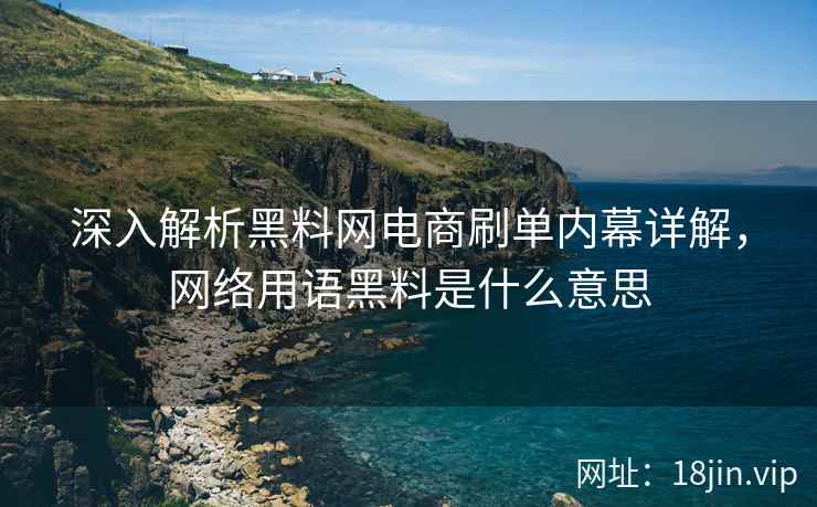 深入解析黑料网电商刷单内幕详解，网络用语黑料是什么意思  第2张