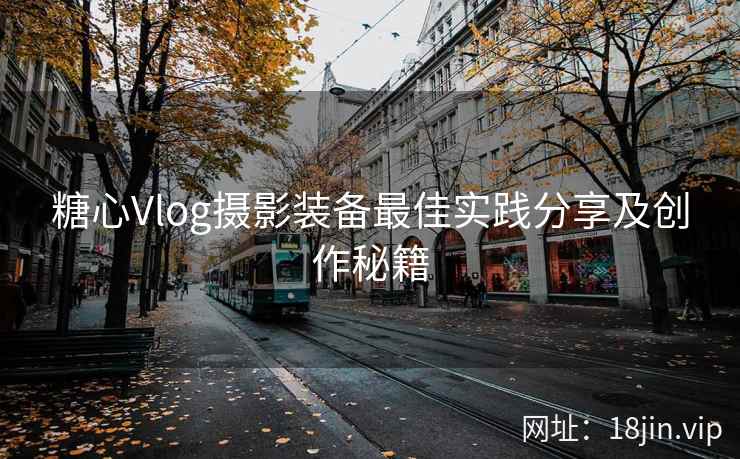 糖心Vlog摄影装备最佳实践分享及创作秘籍  第2张